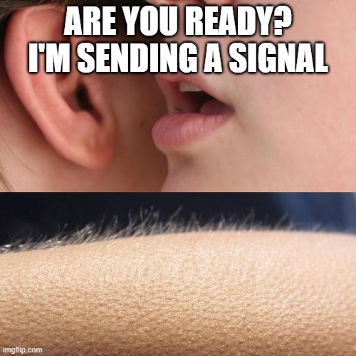 Whisper and Goosebumps | ARE YOU READY? I'M SENDING A SIGNAL | image tagged in whisper and goosebumps | made w/ Imgflip meme maker