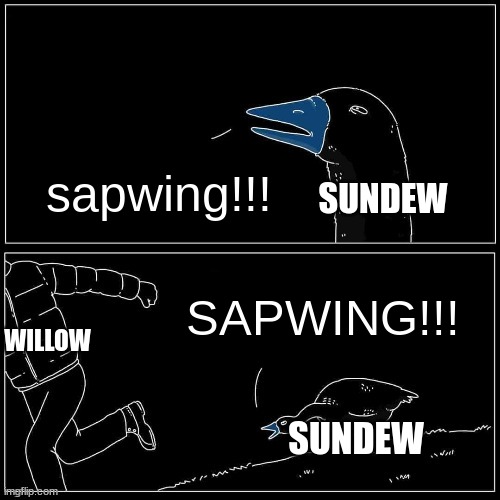 Goose Chase | sapwing!!! SAPWING!!! SUNDEW SUNDEW WILLOW | image tagged in goose chase | made w/ Imgflip meme maker