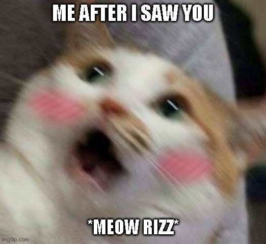 cat rizz | ME AFTER I SAW YOU; *MEOW RIZZ* | image tagged in shocked cat,funny memes,memes,cats,rizz,meow | made w/ Imgflip meme maker