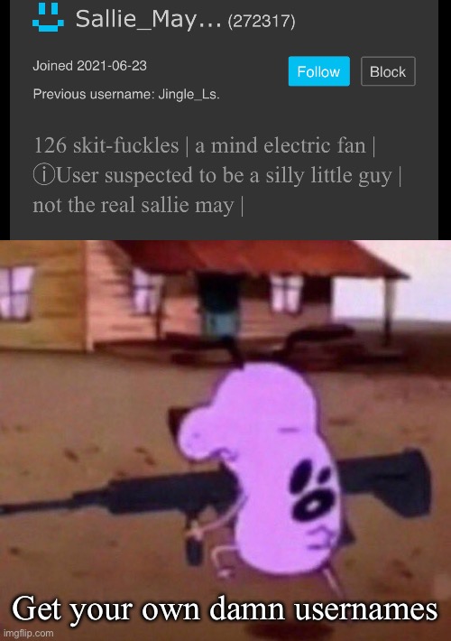 Just not funny anymore | Get your own damn usernames | image tagged in gun | made w/ Imgflip meme maker