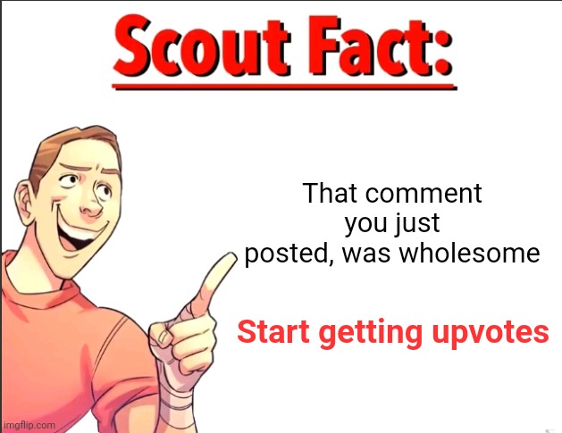 Scout Fact | That comment you just posted, was wholesome Start getting upvotes | image tagged in scout fact | made w/ Imgflip meme maker
