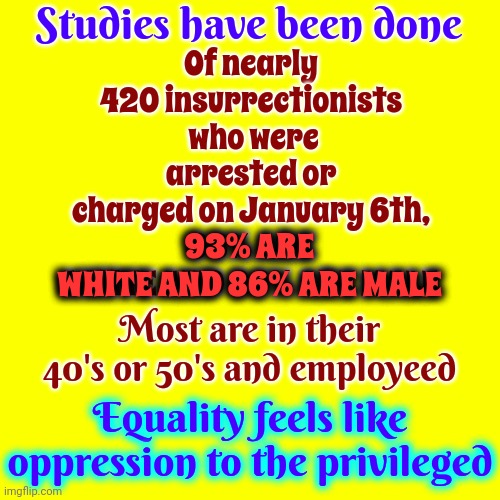 Equality Feels Like Oppression To The Privileged | Studies have been done; Of nearly 420 insurrectionists  who were arrested or charged on January 6th,
93% ARE WHITE AND 86% ARE MALE; 93% ARE
WHITE AND 86% ARE MALE; Most are in their 40's or 50's and employeed; Equality feels like oppression to the privileged | image tagged in white privilege,toxic masculinity,insurrectionists,maga,memes,racists | made w/ Imgflip meme maker