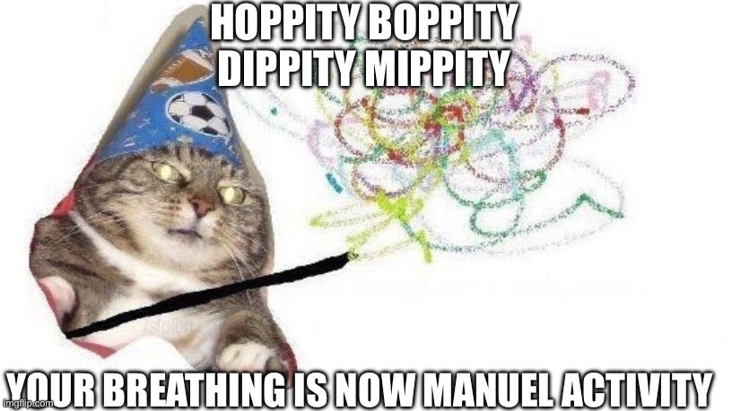 Hah | HOPPITY BOPPITY
DIPPITY MIPPITY; YOUR BREATHING IS NOW MANUEL ACTIVITY | image tagged in wizard cat | made w/ Imgflip meme maker
