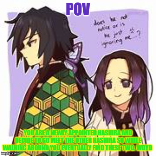 guh | POV; YOU ARE A NEWLY APPOINTED HASHIRA AND DECIDE TO GO MEET THE OTHER HASHIRA SO WHILE WALKING AROUND YOU EVENTUALLY FIND THESE TWO. WDYD | image tagged in _/ /- | made w/ Imgflip meme maker