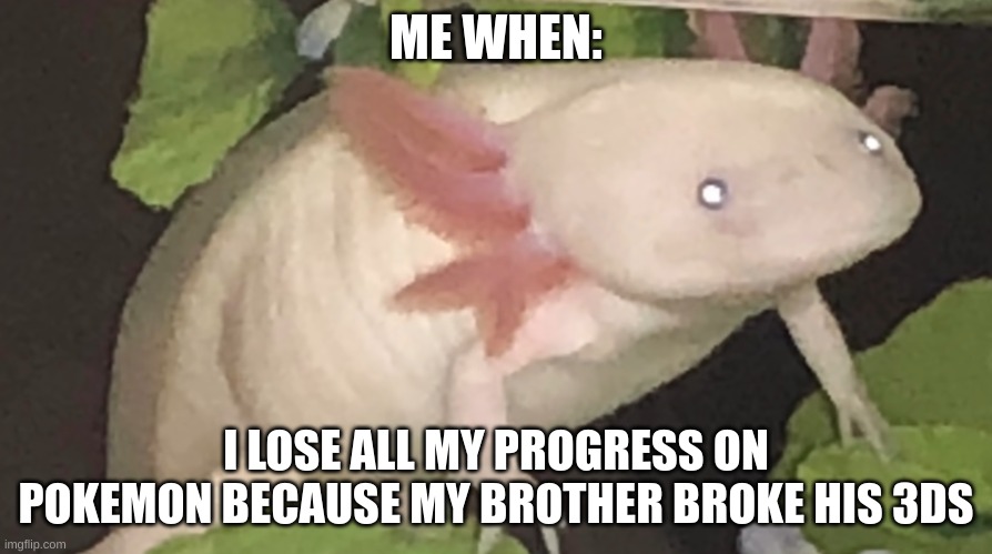 AAAAAAAAAAA | ME WHEN:; I LOSE ALL MY PROGRESS ON POKEMON BECAUSE MY BROTHER BROKE HIS 3DS | image tagged in demon axolotl | made w/ Imgflip meme maker