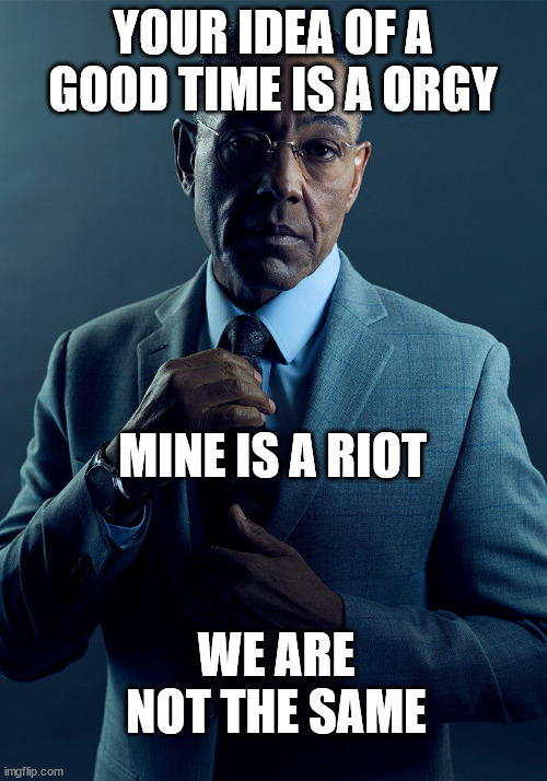 /srs | YOUR IDEA OF A GOOD TIME IS A ORGY; MINE IS A RIOT; WE ARE NOT THE SAME | image tagged in gus fring we are not the same | made w/ Imgflip meme maker