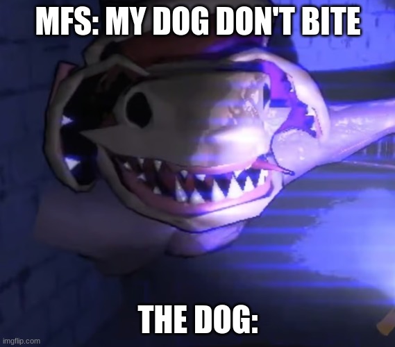 Hi, How are ya | MFS: MY DOG DON'T BITE; THE DOG: | image tagged in hi how are ya | made w/ Imgflip meme maker