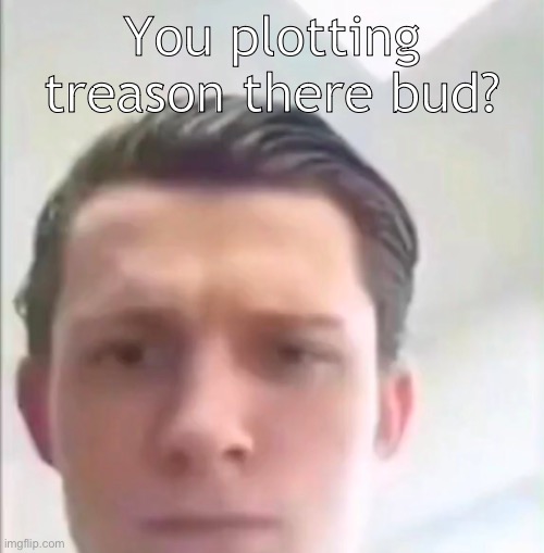 Tom Holland | You plotting treason there bud? | image tagged in tom holland | made w/ Imgflip meme maker