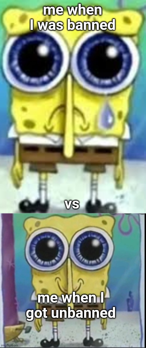 me when I was banned; vs; me when I got unbanned | image tagged in sad spangle shglob,happy spunch bop | made w/ Imgflip meme maker