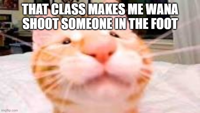 my dog is extra crunchy and has diarrhea | THAT CLASS MAKES ME WANA SHOOT SOMEONE IN THE FOOT | image tagged in my dog is extra crunchy and has diarrhea | made w/ Imgflip meme maker