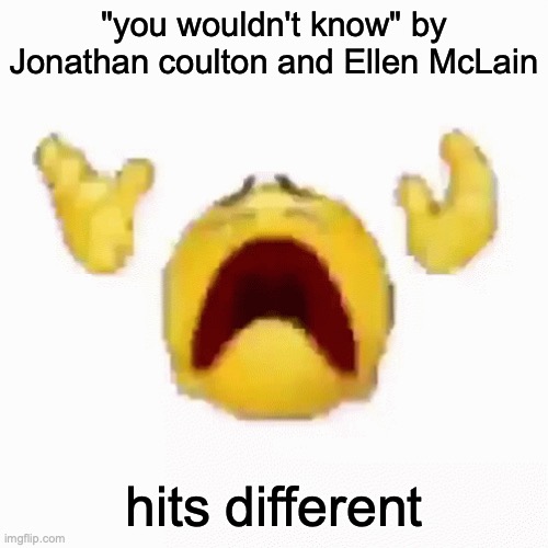 :nooo: | "you wouldn't know" by Jonathan coulton and Ellen McLain; hits different | image tagged in nooo | made w/ Imgflip meme maker