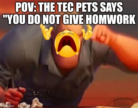 true | POV: THE TEC PETS SAYS "YOU DO NOT GIVE HOMWORK | image tagged in mr incredible mad | made w/ Imgflip meme maker
