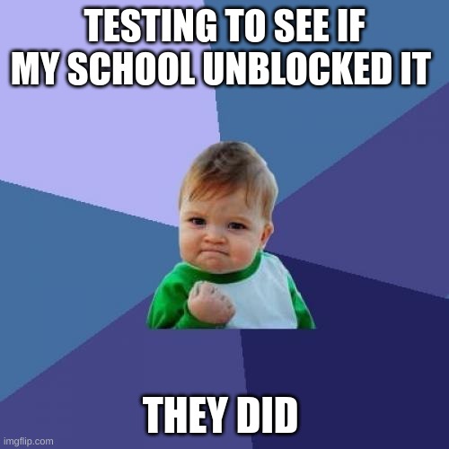 teastint 1 2 teasting | TESTING TO SEE IF MY SCHOOL UNBLOCKED IT; THEY DID | image tagged in memes,success kid | made w/ Imgflip meme maker