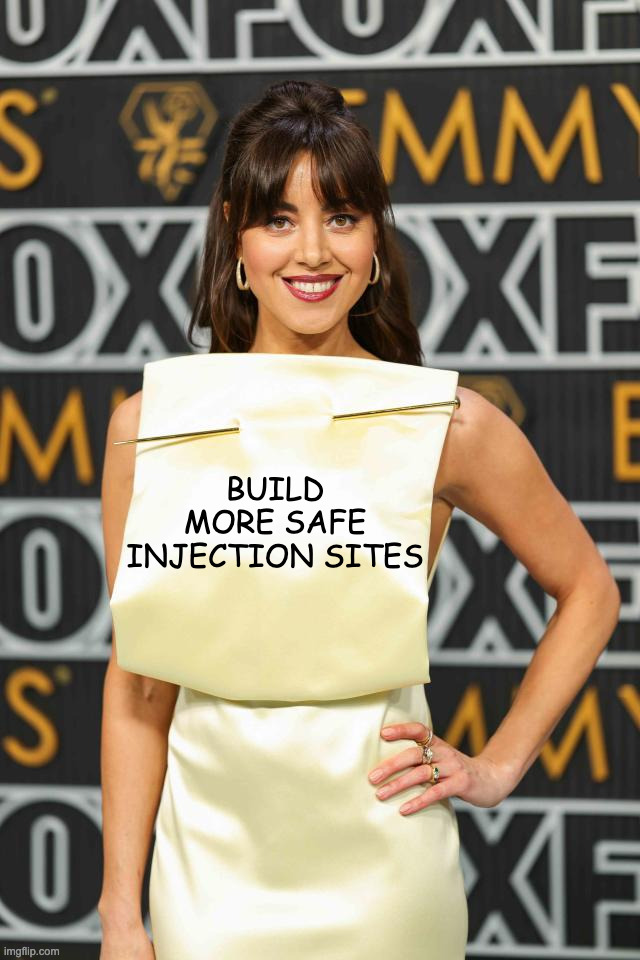 Aubrey plaza wants safe injection sites | BUILD MORE SAFE INJECTION SITES | image tagged in aubrey,plaza,aubrey plaza,emmy,awards,emmys | made w/ Imgflip meme maker