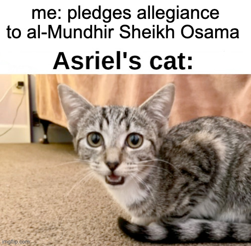 schizo post | me: pledges allegiance to al-Mundhir Sheikh Osama | image tagged in asriel's cat | made w/ Imgflip meme maker