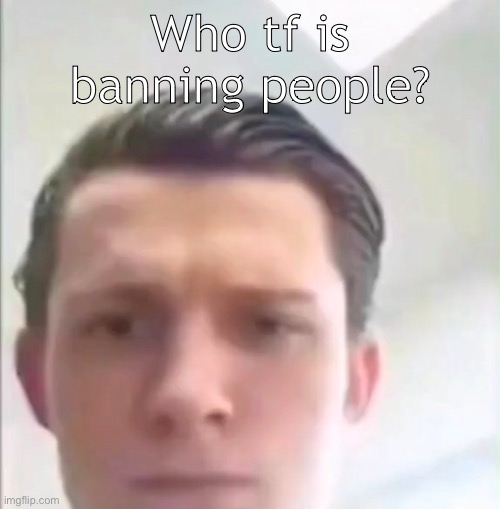 Tom Holland | Who tf is banning people? | image tagged in tom holland | made w/ Imgflip meme maker