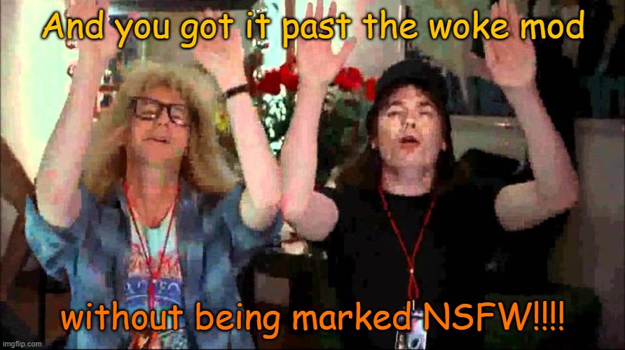 Wayne's World, We're Not Worthy | And you got it past the woke mod without being marked NSFW!!!! | image tagged in wayne's world we're not worthy | made w/ Imgflip meme maker