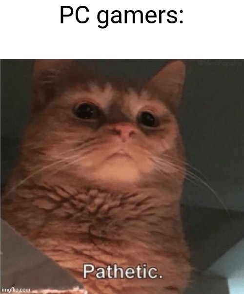 Pathetic Cat | PC gamers: | image tagged in pathetic cat | made w/ Imgflip meme maker