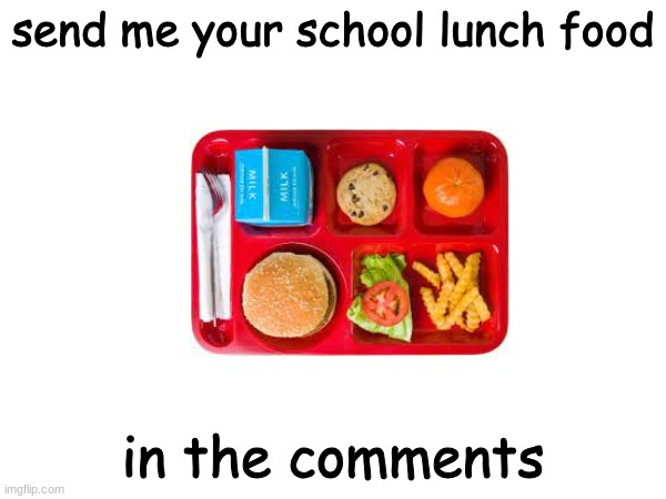 send them in the comments | send me your school lunch food; in the comments | image tagged in school lunch,food,school | made w/ Imgflip meme maker