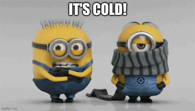 IT'S COLD | IT'S COLD! | image tagged in funny,minions | made w/ Imgflip meme maker