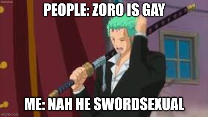 Zoro with sword | PEOPLE: ZORO IS GAY; ME: NAH HE SWORDSEXUAL | image tagged in one piece,zoro | made w/ Imgflip meme maker
