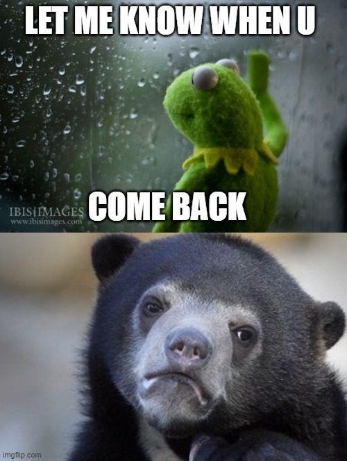 LET ME KNOW WHEN U; COME BACK | image tagged in kermit window,memes,confession bear | made w/ Imgflip meme maker