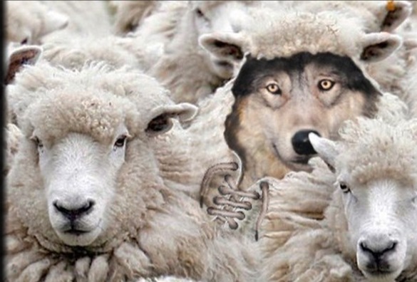 sheep wolf Blank Meme Template
