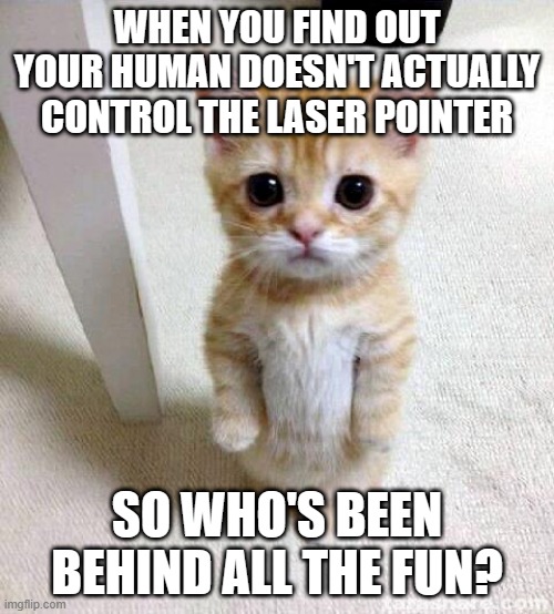 HUH!?!? | WHEN YOU FIND OUT YOUR HUMAN DOESN'T ACTUALLY CONTROL THE LASER POINTER; SO WHO'S BEEN BEHIND ALL THE FUN? | image tagged in memes,cute cat,meow,kitty,cute | made w/ Imgflip meme maker