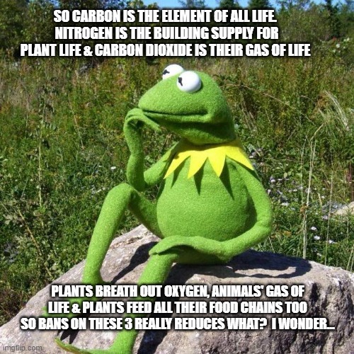 SO CARBON IS THE ELEMENT OF ALL LIFE.  NITROGEN IS THE BUILDING SUPPLY FOR PLANT LIFE & CARBON DIOXIDE IS THEIR GAS OF LIFE; PLANTS BREATH OUT OXYGEN, ANIMALS' GAS OF LIFE & PLANTS FEED ALL THEIR FOOD CHAINS TOO SO BANS ON THESE 3 REALLY REDUCES WHAT?  I WONDER... | made w/ Imgflip meme maker