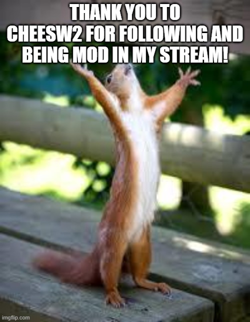 Thank you! | THANK YOU TO CHEESW2 FOR FOLLOWING AND BEING MOD IN MY STREAM! | image tagged in praise squirrel | made w/ Imgflip meme maker