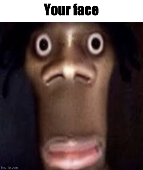 shitpost anyway | Your face | image tagged in quandale dingle,shitpost | made w/ Imgflip meme maker