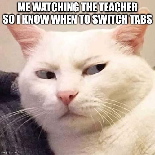 yes imgflip is a math website, totally | ME WATCHING THE TEACHER SO I KNOW WHEN TO SWITCH TABS | image tagged in i'm watching you | made w/ Imgflip meme maker