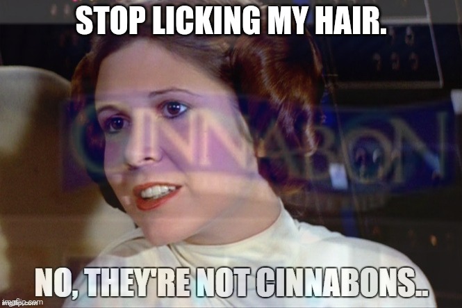 Stop it get some help | STOP LICKING MY HAIR. | image tagged in stop it get some help,princess leia,stop licking,my hair | made w/ Imgflip meme maker