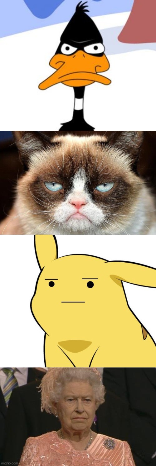 image tagged in daffy duck not amused,memes,grumpy cat not amused,pikachu is not amused,queen elizabeth london olympics not amused | made w/ Imgflip meme maker