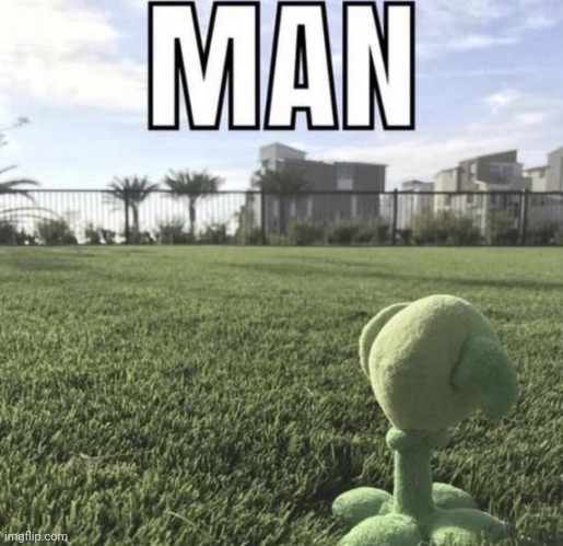 Peashooter has seen many things... | image tagged in funny,memes,plants vs zombies,peashooter,man | made w/ Imgflip meme maker