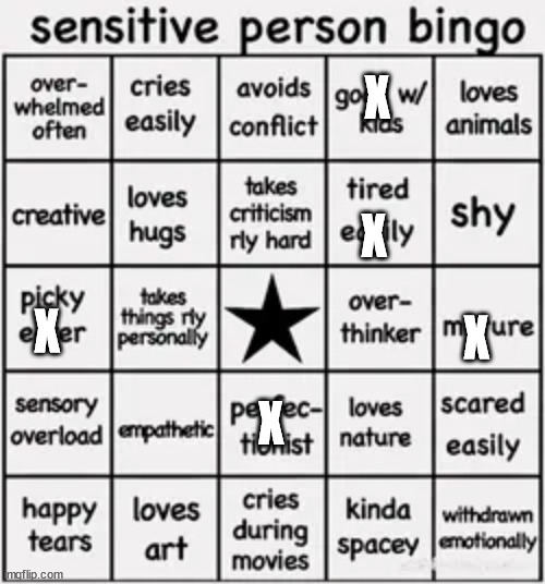 sensitive person bingo | X; X; X; X; X | image tagged in sensitive person bingo | made w/ Imgflip meme maker