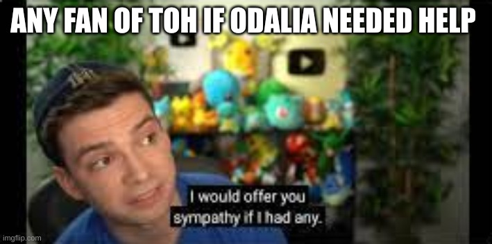 I Would Offer You Sympathy If I Had Any | ANY FAN OF TOH IF ODALIA NEEDED HELP | image tagged in i would offer you sympathy if i had any,the owl house | made w/ Imgflip meme maker