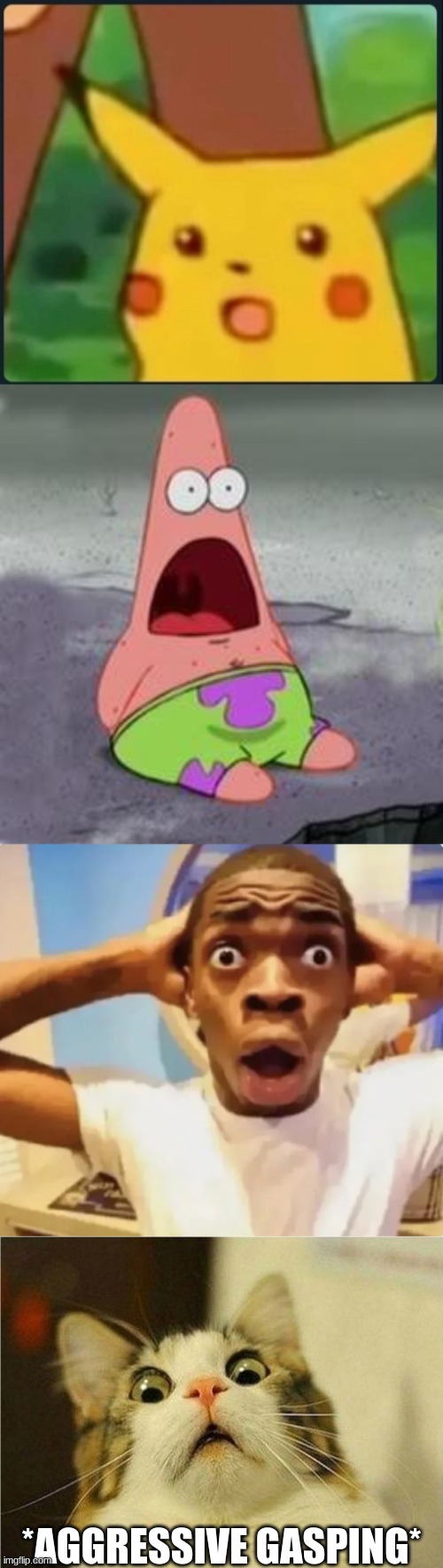 *AGGRESSIVE GASPING* | image tagged in surprised pikachu,suprised patrick,black guy suprised,suprised cat | made w/ Imgflip meme maker