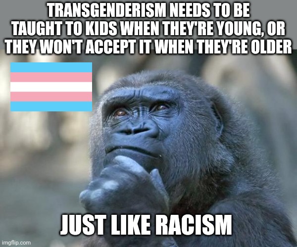 They have to be carefully taught | TRANSGENDERISM NEEDS TO BE TAUGHT TO KIDS WHEN THEY'RE YOUNG, OR THEY WON'T ACCEPT IT WHEN THEY'RE OLDER; JUST LIKE RACISM | image tagged in that is the question | made w/ Imgflip meme maker