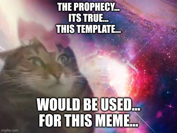 the prophecy is true cat | THE PROPHECY...
ITS TRUE...
THIS TEMPLATE... WOULD BE USED...
FOR THIS MEME... | image tagged in the prophecy is true cat | made w/ Imgflip meme maker