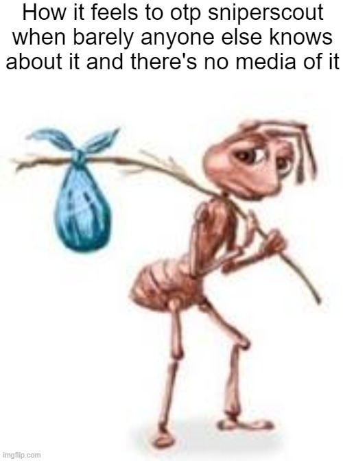 Sad ant with bindle | How it feels to otp sniperscout when barely anyone else knows about it and there's no media of it | image tagged in sad ant with bindle | made w/ Imgflip meme maker