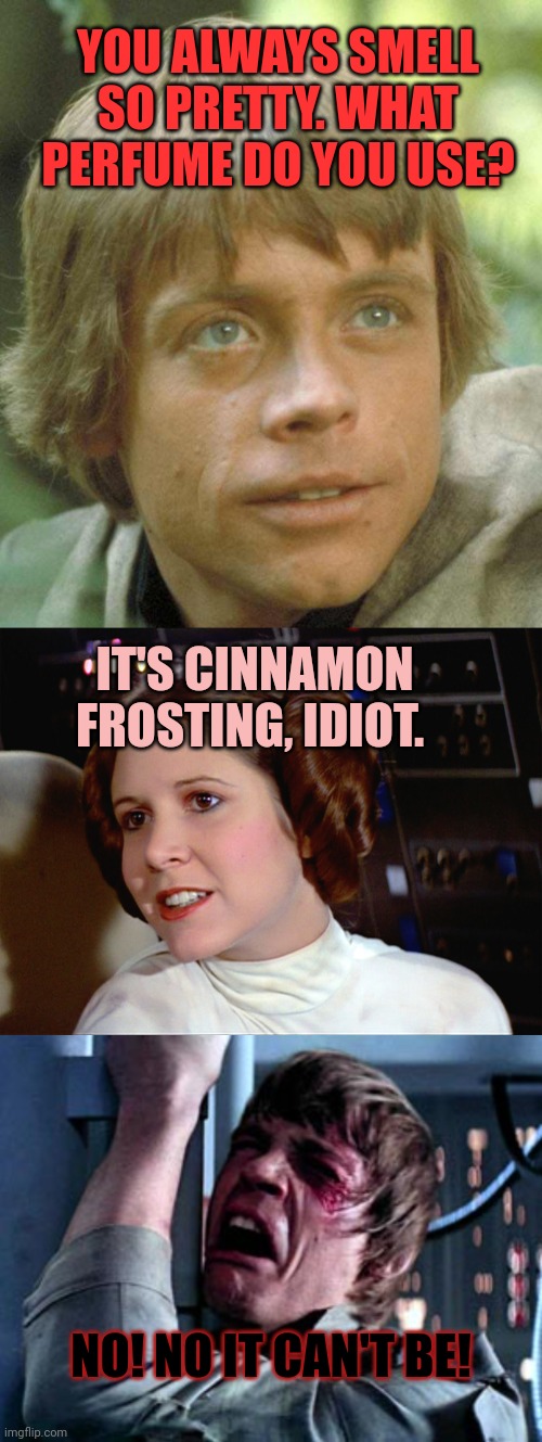 Princess Leia lore | YOU ALWAYS SMELL SO PRETTY. WHAT PERFUME DO YOU USE? IT'S CINNAMON FROSTING, IDIOT. NO! NO IT CAN'T BE! | image tagged in luke skywalker,princess leia too easy,luke skywalker noooo,princess leia | made w/ Imgflip meme maker
