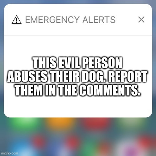 poor dog :( | THIS EVIL PERSON ABUSES THEIR DOG. REPORT THEM IN THE COMMENTS. | image tagged in emergency alert | made w/ Imgflip meme maker