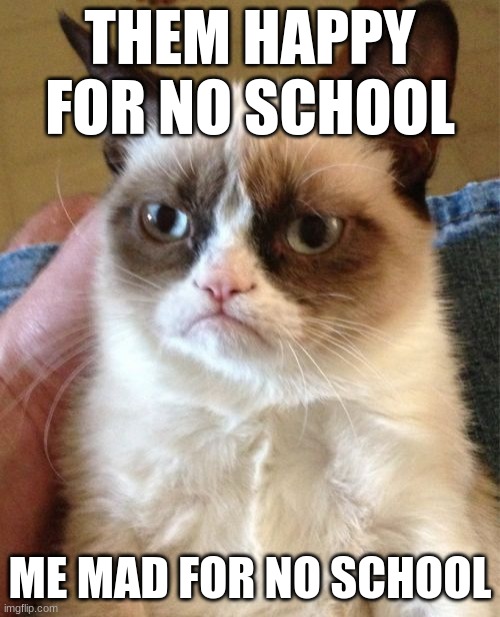 Grumpy Cat | THEM HAPPY FOR NO SCHOOL; ME MAD FOR NO SCHOOL | image tagged in memes,grumpy cat | made w/ Imgflip meme maker