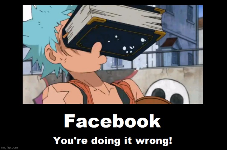 The real facebook | image tagged in animeme,facebook | made w/ Imgflip meme maker