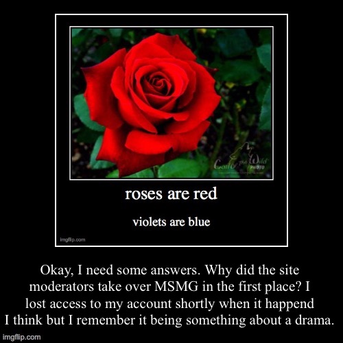 Demotivational | Okay, I need some answers. Why did the site moderators take over MSMG in the first place? I lost access to my account shortly when it happend I think but I remember it being something about a drama. | image tagged in demotivational | made w/ Imgflip meme maker