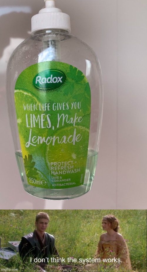 More like limenade | image tagged in i don't think the system works,limes,limenade,lemonade,you had one job,memes | made w/ Imgflip meme maker