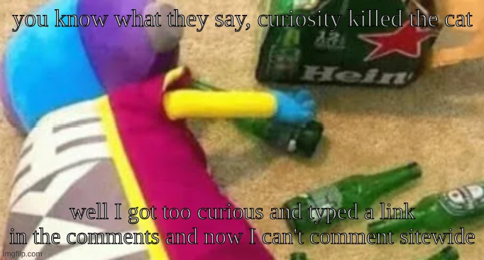 This is an image of an idiot | you know what they say, curiosity killed the cat; well I got too curious and typed a link in the comments and now I can't comment sitewide | image tagged in idiot | made w/ Imgflip meme maker