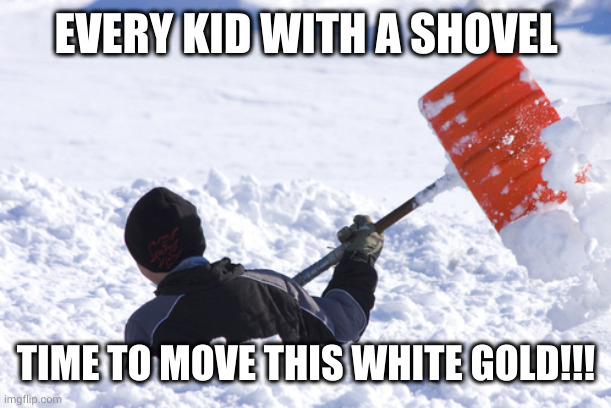 Kids shoveling for cash | EVERY KID WITH A SHOVEL; TIME TO MOVE THIS WHITE GOLD!!! | image tagged in blizzard,memes,shovel,earning cash,opportunity,sidewalks | made w/ Imgflip meme maker