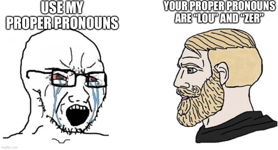 crying wojak vs chad | USE MY PROPER PRONOUNS; YOUR PROPER PRONOUNS ARE “LOU” AND “ZER” | image tagged in crying wojak vs chad | made w/ Imgflip meme maker